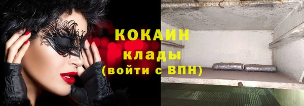 твердый Аркадак