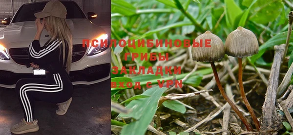 a pvp Армянск