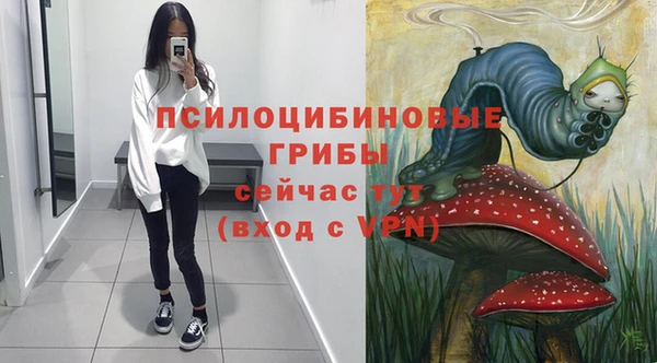 твердый Аркадак